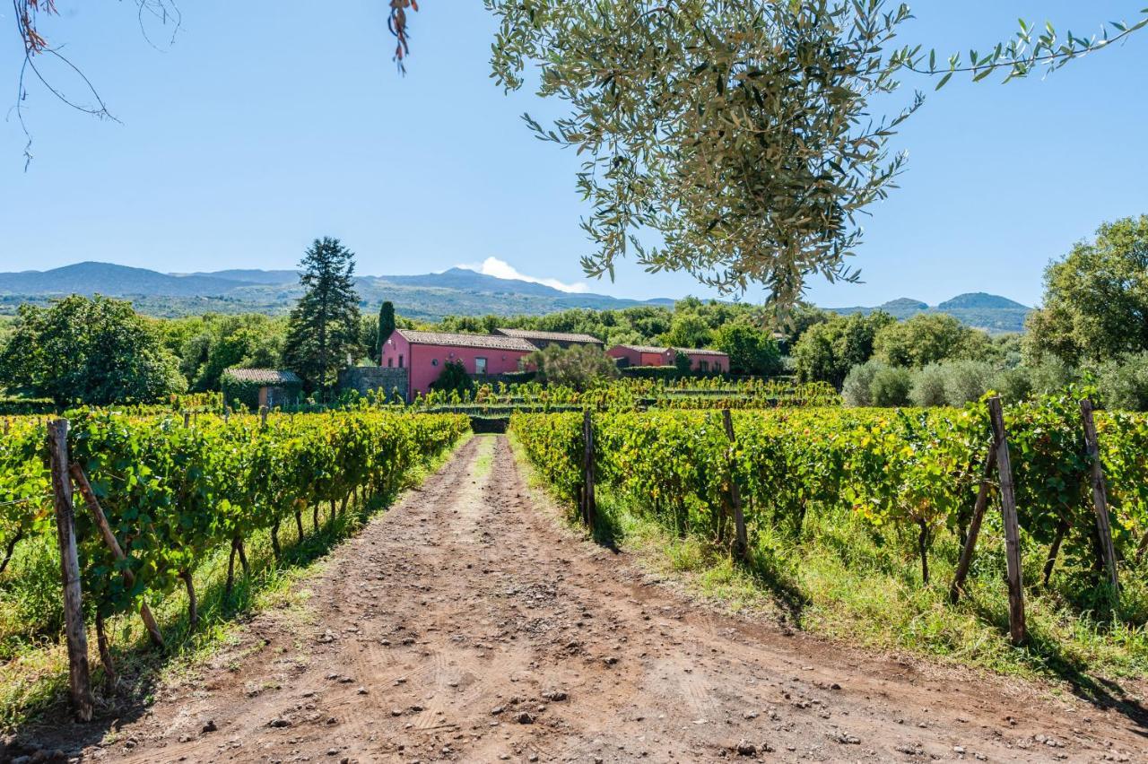 Terrazze Dell'Etna - Country Rooms And Apartments رانداتسو المظهر الخارجي الصورة