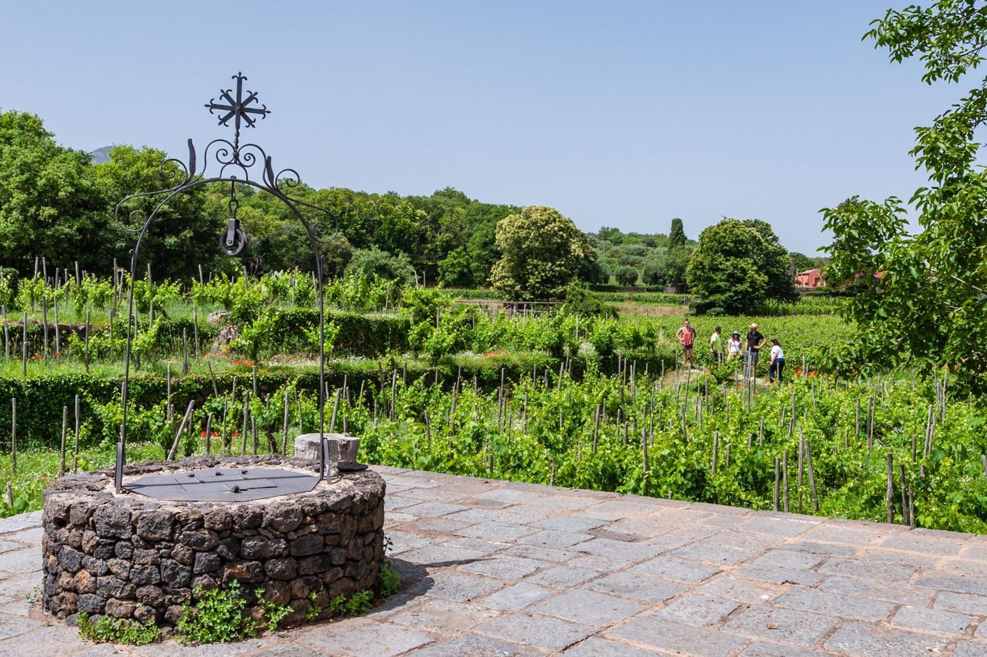Terrazze Dell'Etna - Country Rooms And Apartments رانداتسو المظهر الخارجي الصورة