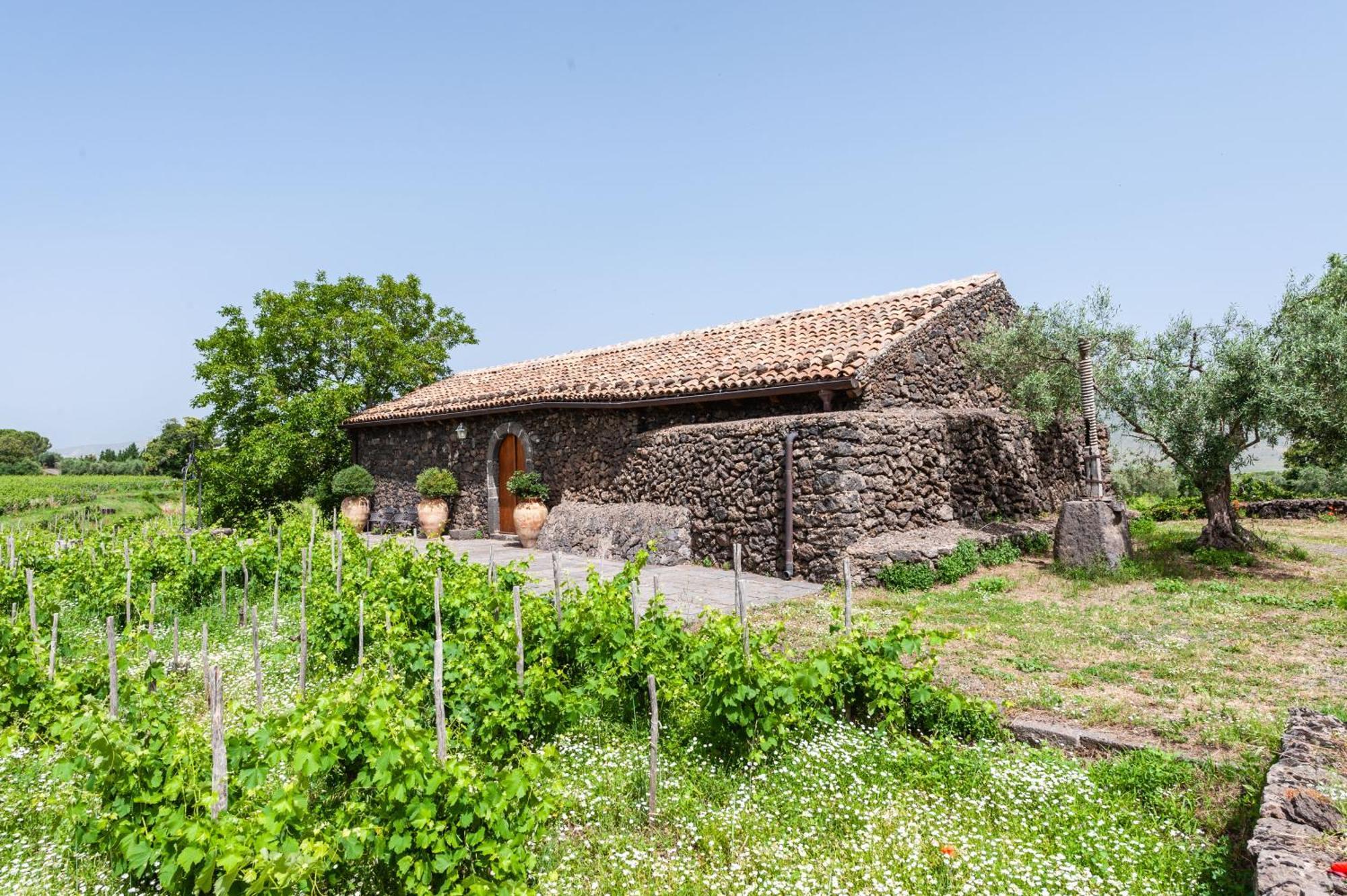 Terrazze Dell'Etna - Country Rooms And Apartments رانداتسو المظهر الخارجي الصورة